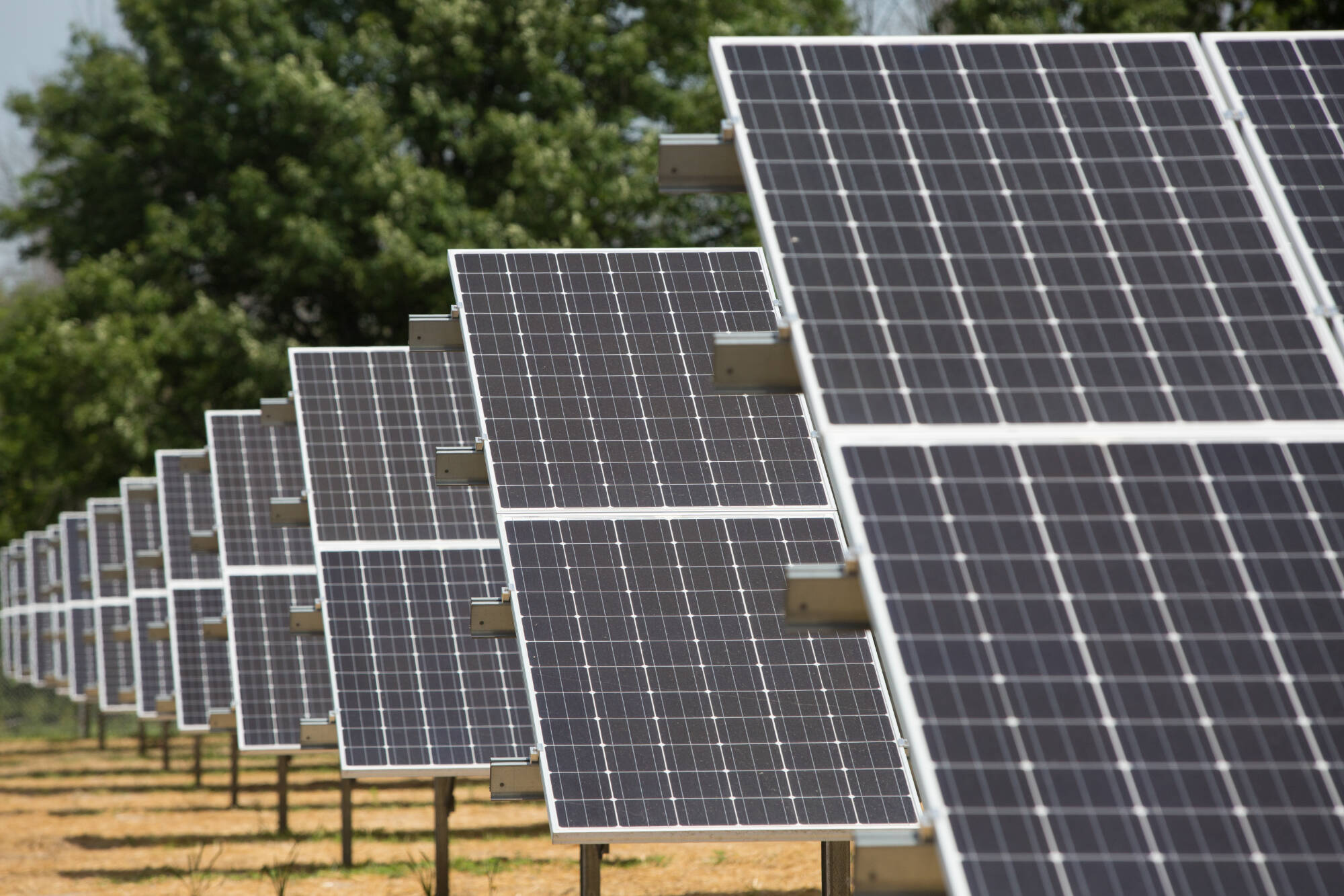 Solar panel farm